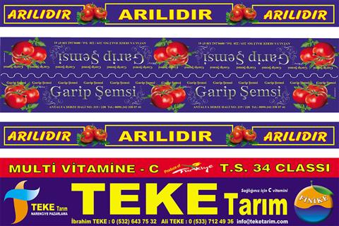 Arılıdır Kasa Kuşak